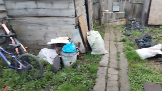 Работа в огороде продолжается. Рыхлю,борюсь с сорняками.🌿 Рекс сбежал.🐕🦺