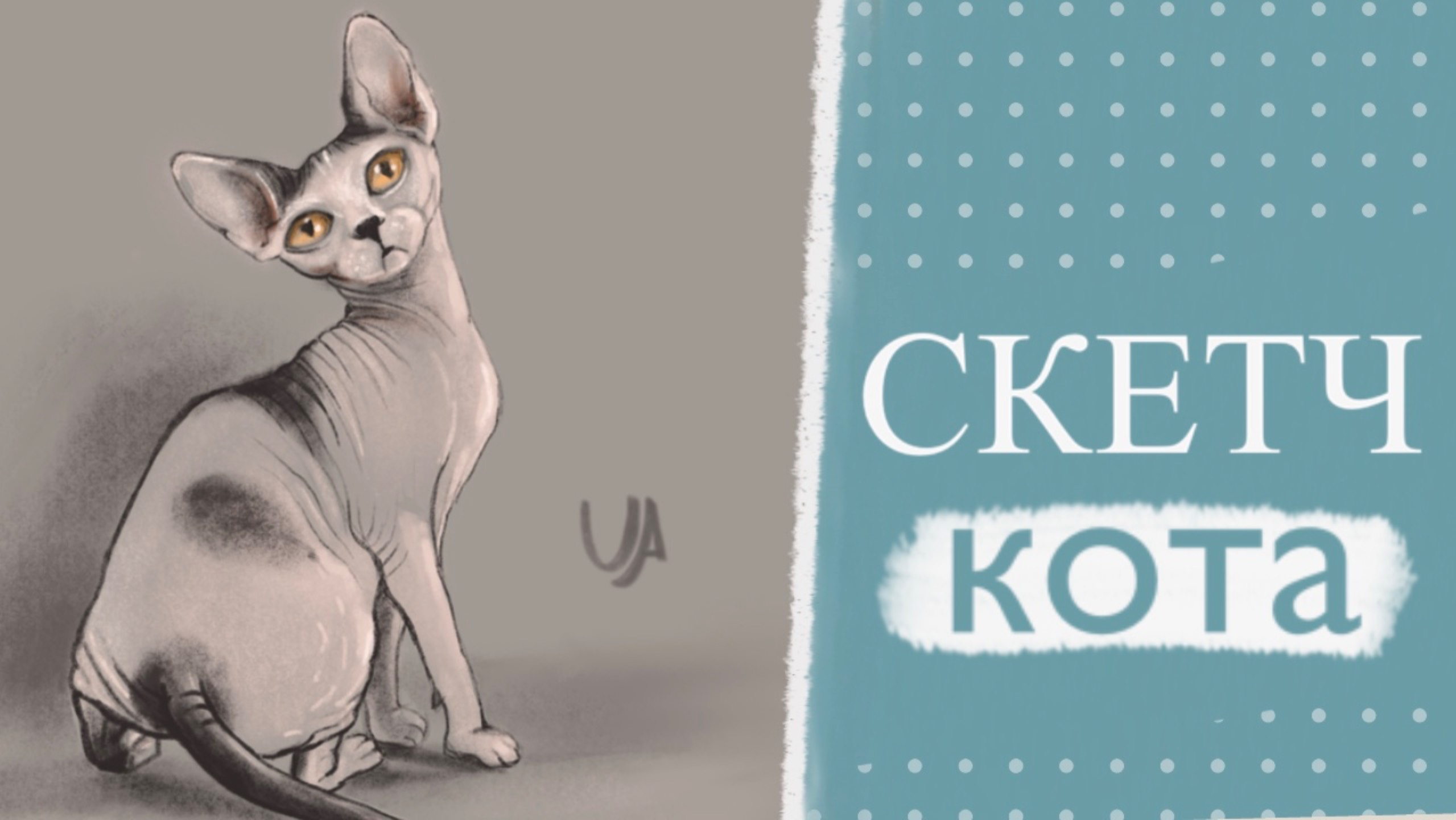 Процесс рисования кота