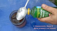 В СССР ОПРЫСКИВАЛИ ЭТИМ КАПУСТУ! ВРЕДИТЕЛЕЙ НА КАПУСТЕ НЕ БЫЛО! Народное средство от насекомых