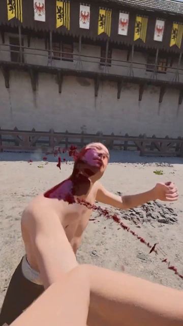 One more fight #halfsword #history #medieval