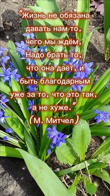 Обязана ли чем- то нам жизнь?