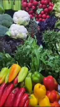 СМОТРИТЕ СИРИЯ СЕГОДНЯ ИРАН ФУД СИТИ АКЦИЯ СРОЧНО ПРО?