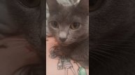 1000029909.mp4