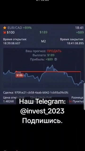 Бесплатные торговые сигналы для начинающих трейдеров