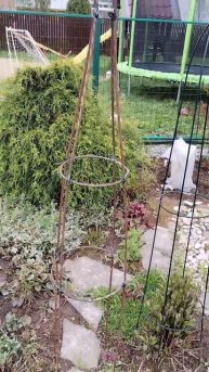Стойка для клематиса своими руками