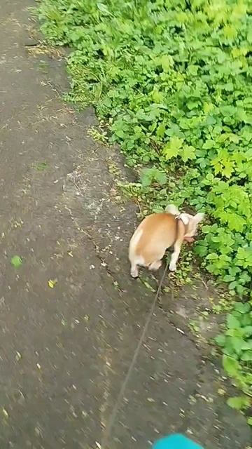 Сеня дружок сегодня дома без меня