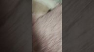 клуб девочек