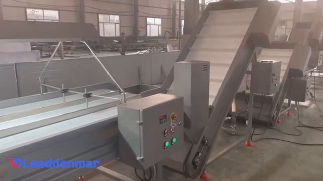 Сушка туннельного типа Leaddenmar Drying Conveyor Pro Vibro