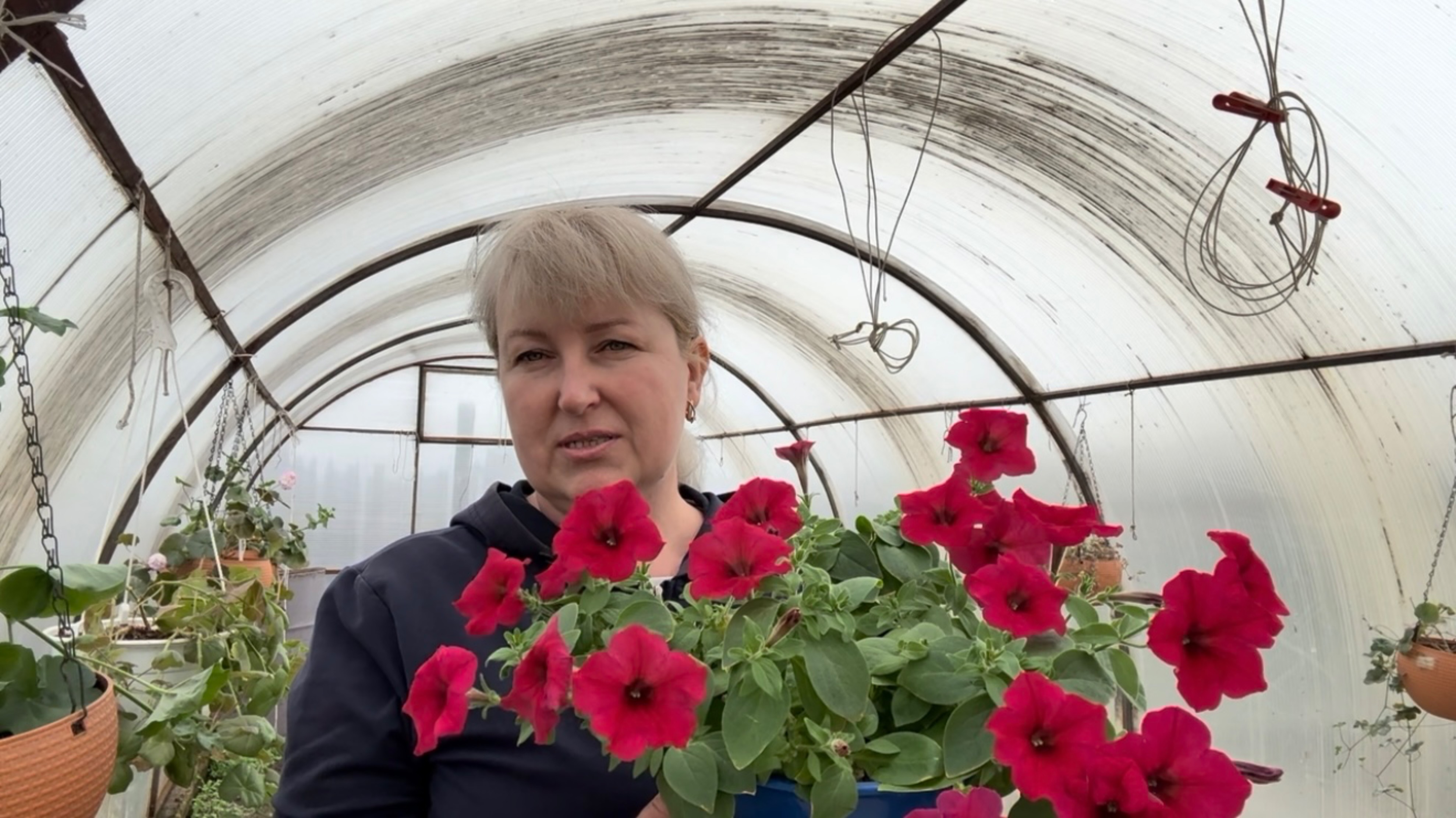Огородно садовые работы. ПЕТУНЬЯ радует 🌸. Приготовила ОБЕД . Напекла БЛИНОВ.