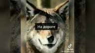 VID-20250511-WA0003.mp4