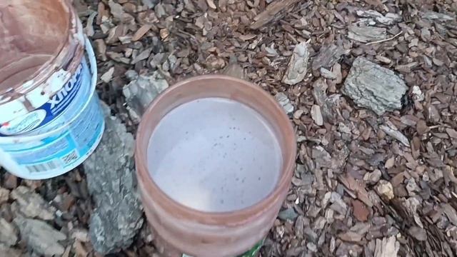 Тротуарная плитка. Как и чем мы красим. Лето 2024г.