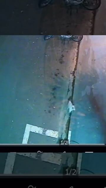 Гроза района! 😎