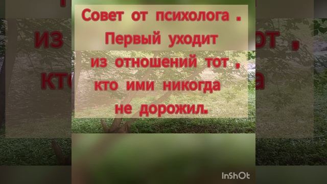 советы психолога