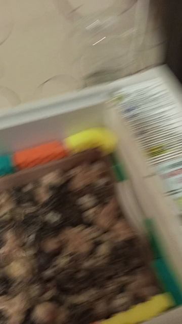 1000035193.mp4