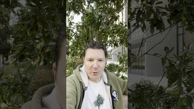 Наши чувства сканируют нашу реальность. Убеждения делают выводы и стороят судьбу.