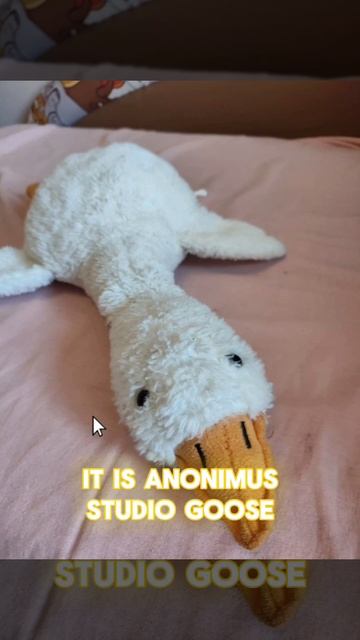 Anonimusini Guzini