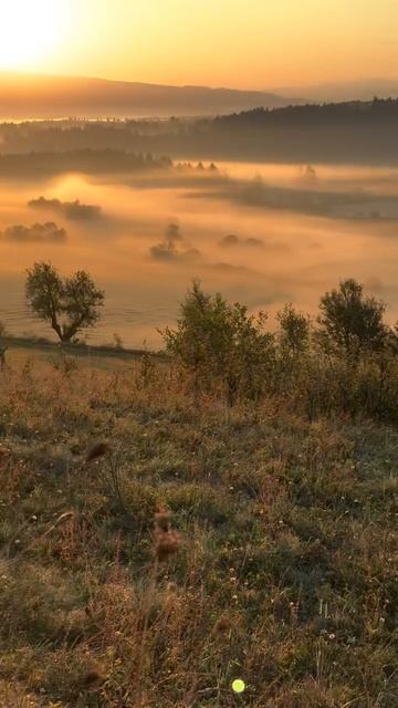 красота