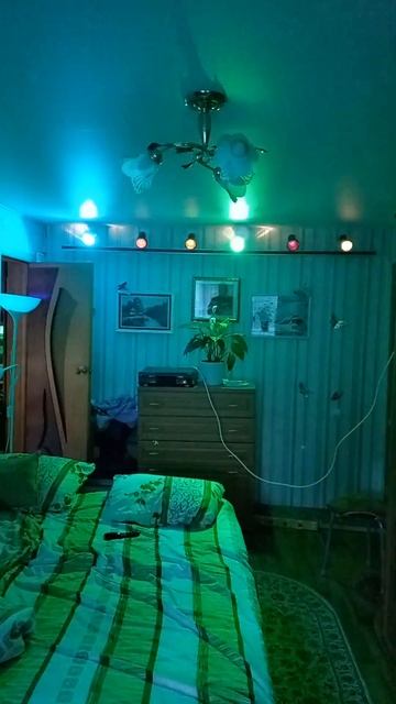 Светомузыка своими руками (Свето  Динамическое Устрой