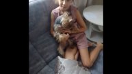 обзор моего пёсика