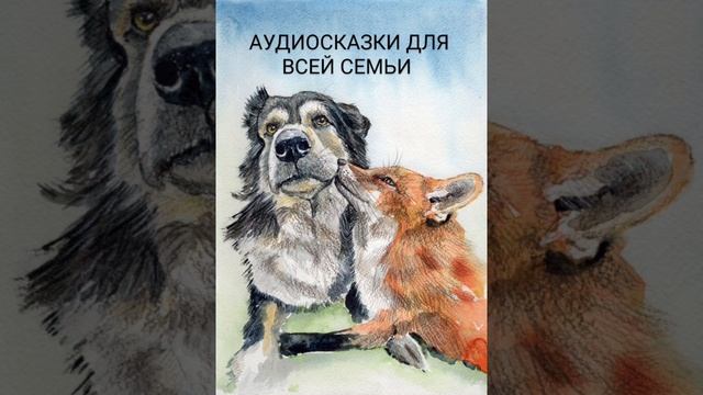 ДРУЗЬЯ