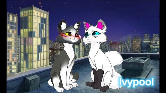 Видео 💝💗💗💗
