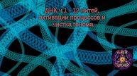 ДНК ч.1 - 12 нитей, активации процессов и чистка генома