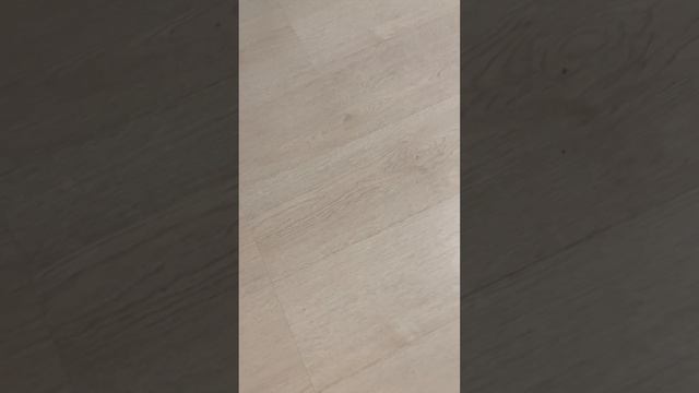 Обучение щенка команде «Лежать"