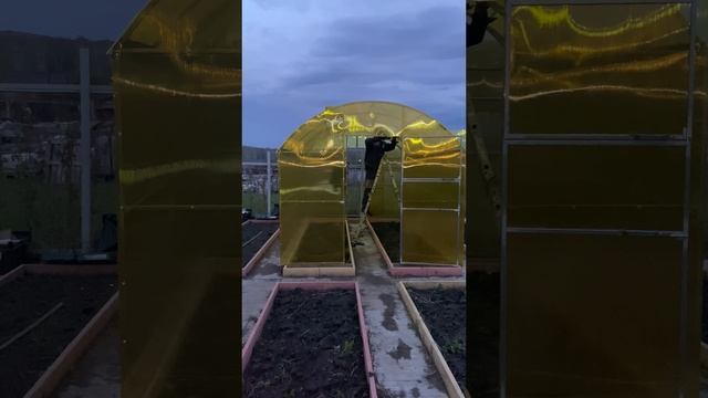 Теплица Павильон