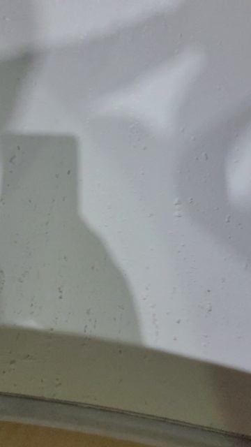 1000161717.mp4