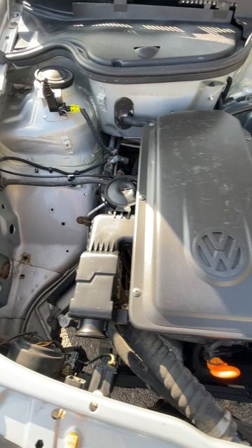 2005 Volkswagen Pointer двигатель