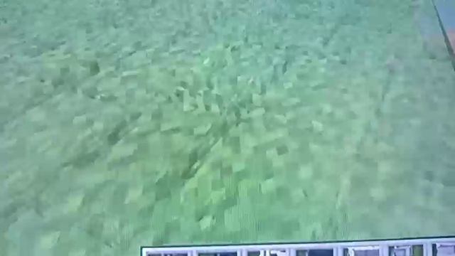 слив и обзор на жиги нюкема