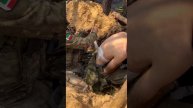 Одним из самых ярких представителей спецназа «Ахмат» стал боец с позывным «Турпал»