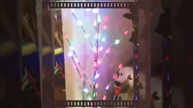 ОГОНЬКИ/ФОНАРИКИ/ДИАНА КИТ