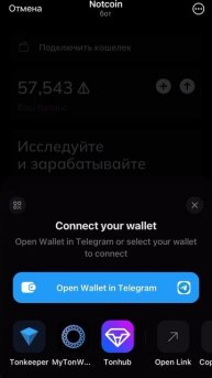 Открыли Вывод NotCoin на Кошелек Telegram Wallet