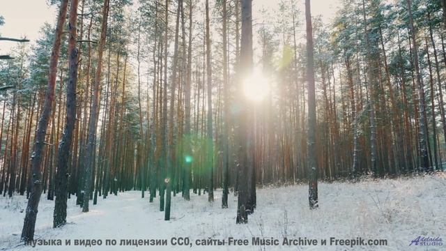 Поля расцветают, когда звучит такая сильная музыка - Meaningful (Connection) -- Tadz -- Soul Symphon