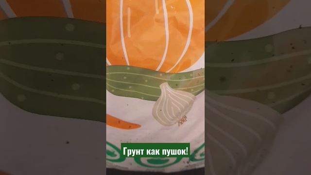 Как улучшить любой грунт