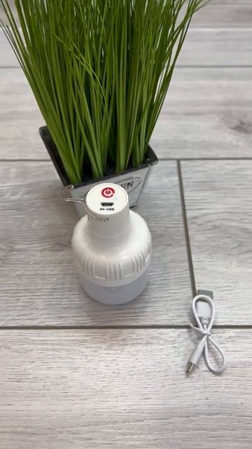 Лампочка 12V. 12V light bulb.