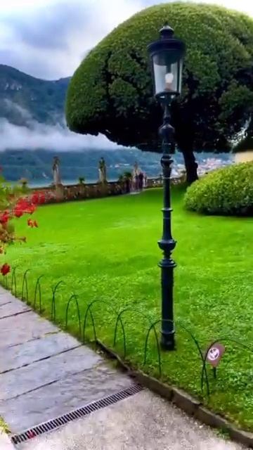 Zubair Tatar - دل من زین همه غم ها فسرده _توانم را غم عشق تو برده__احمد ظاهر🎧