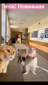 – п-ов ;💗новенькая 🍄#котики #анимация #актив #футаж #к