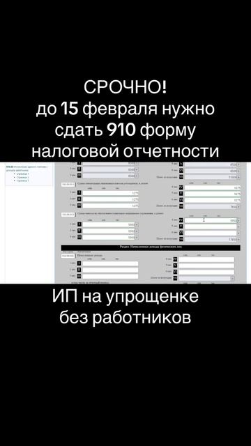910 форма налоговой отчетности за 2 полугодие 2024 года дл
