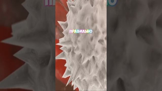 Давить или не давить прыщи
