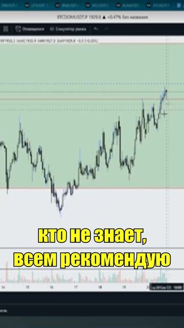 Тот ТРЕЙДИНГ, который приносит ПРИБЫЛЬ!!! | Основы трей?