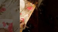 Состояние семей на конец сезона 2019 года