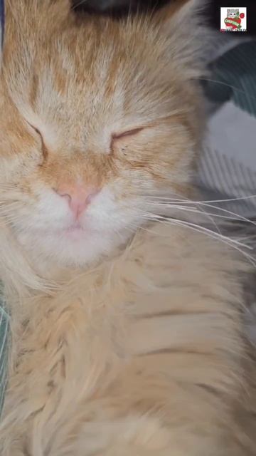 Доброе утро Ребята 🌞❤️😻