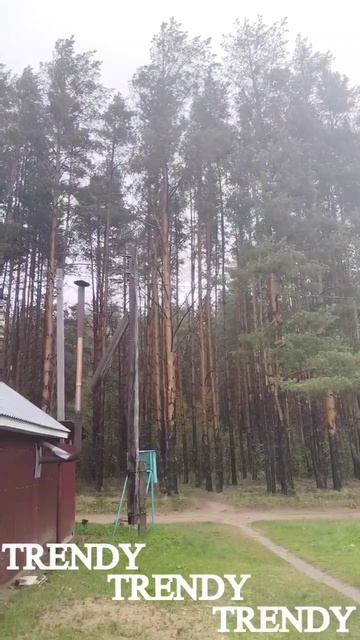 Коротко и ясно о сегодняшней погоде 🌧️
