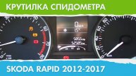 Крутилка, подмотка спидометра Шкода Рапид (поколение с 2012 г.)
