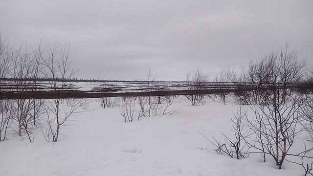 Весна 2025 г.