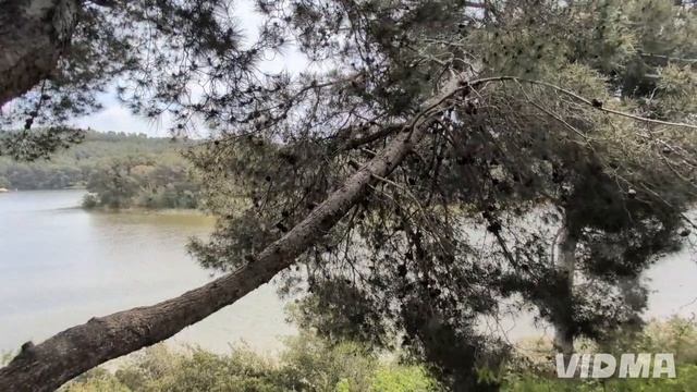 647.С добрым утром, с воскресным днём 💐💚.
