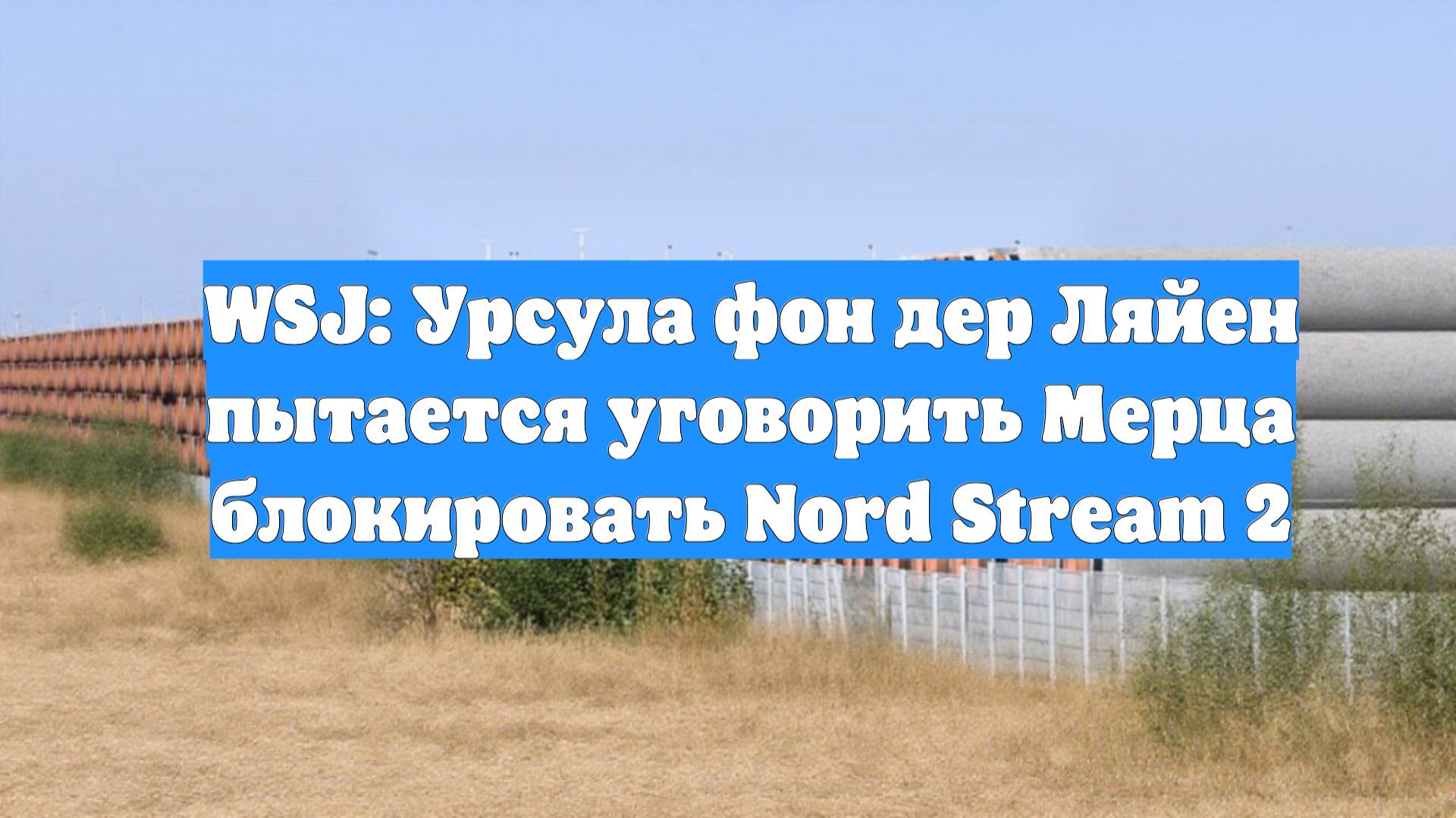 WSJ: Урсула фон дер Ляйен пытается уговорить Мерца блокировать Nord Stream 2