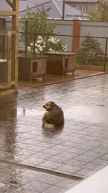 У природы нет плохой погоды 😉